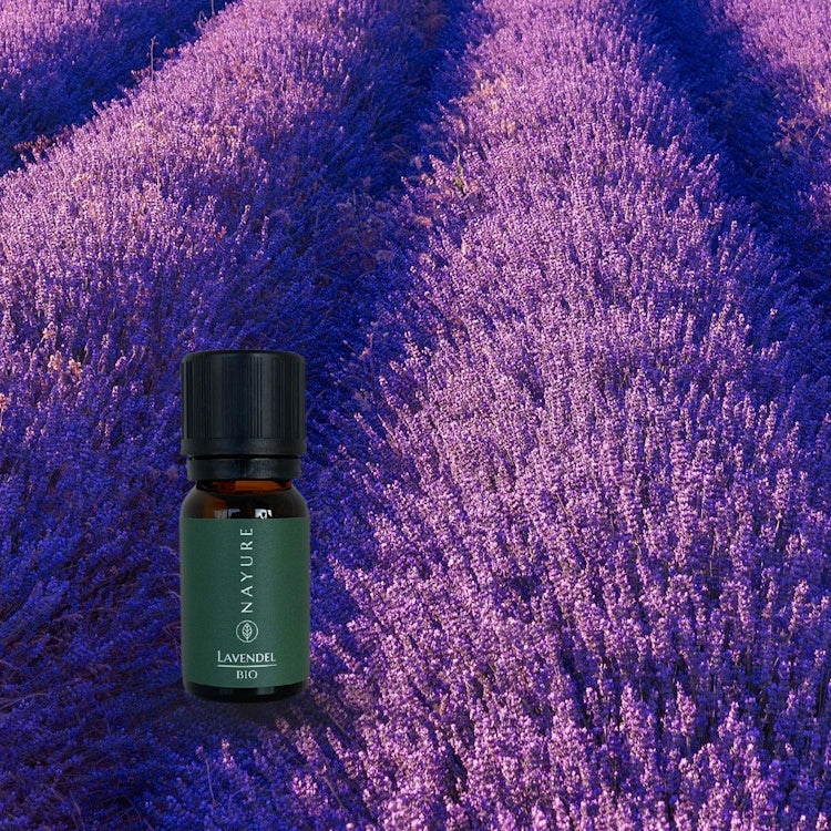 Ätherisches Öl Lavendel fein Bio 10ml